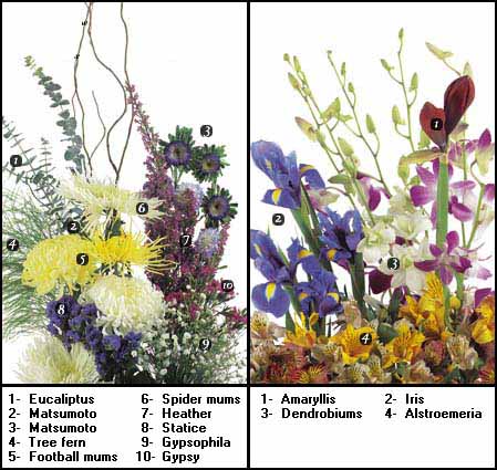 directory of flower types and there associated 	floral names