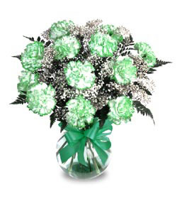 Saint Patrick's Day Vase Arrangement with green and white 
	carnations and baby's breath