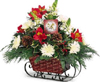 Holiday Sleigh Arrangement comes filled with red alstromeria, white mums, 	christmas greens and pine cones.